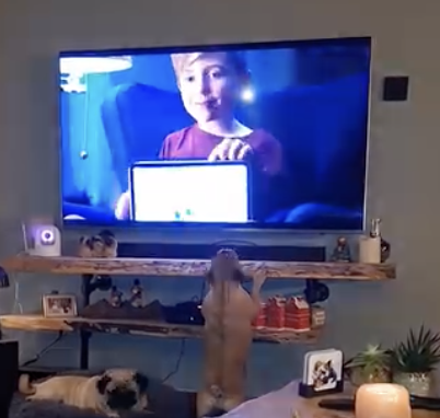 Iedere reclame hetzelfde liedje
